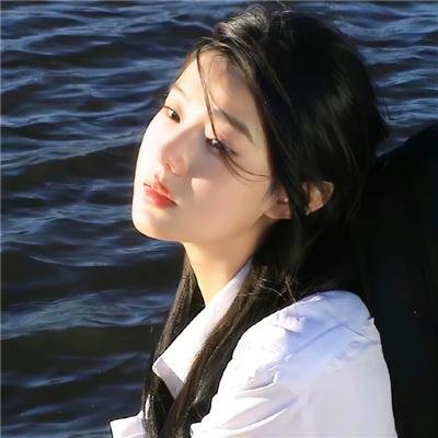 拜访森林